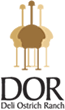 DOR